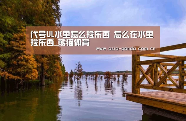 代号UL水里怎么捡东西 怎么在水里捡东西_熊猫体育(图1) 熊猫体育