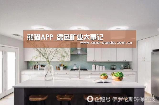 熊猫APP_绿色矿业大事记