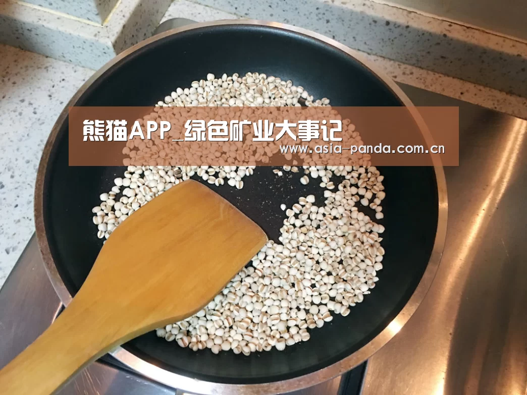 熊猫APP_绿色矿业大事记(图2) 熊猫APP