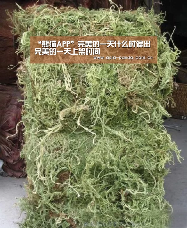 “熊猫APP”完美的一天什么时候出 完美的一天上架时间(图2) 熊猫体育官方网站
