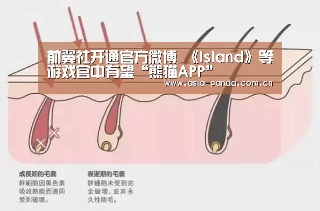 前翼社开通官方微博 《Island》等游戏官中有望“熊猫APP”
