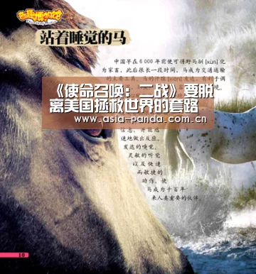 熊猫体育app