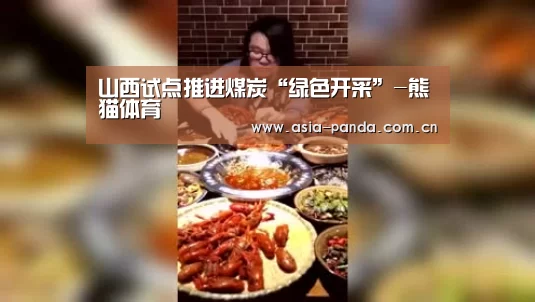 山西试点推进煤炭“绿色开采”-熊猫体育