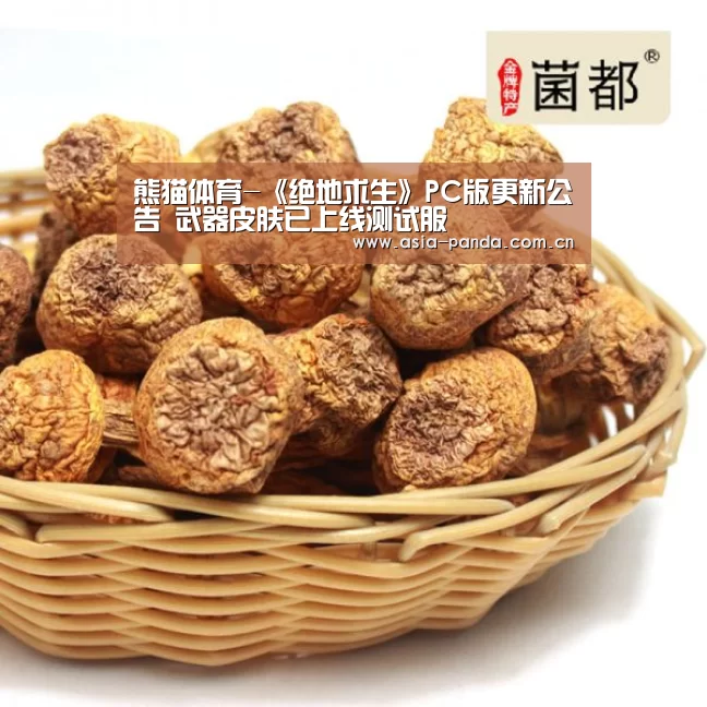 熊猫体育-《绝地求生》PC版更新公告 武器皮肤已上线测试服(图2) 熊猫体育官方网站