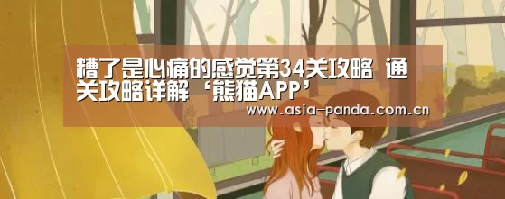 熊猫APP