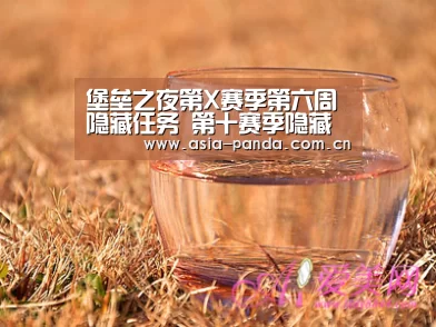 熊猫体育官方网站