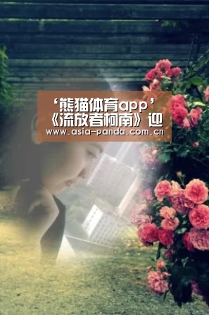 熊猫体育app