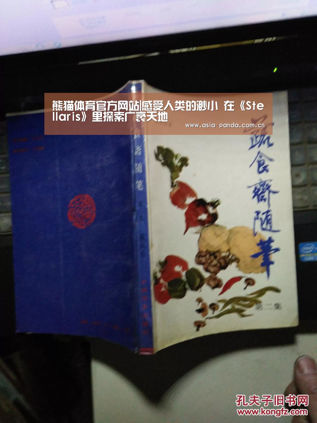 熊猫体育官方网站|感受人类的渺小 在《Stellaris》里探索广袤天地(图2) 熊猫体育官方网站