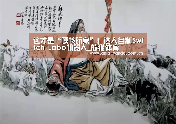这才是“硬核玩家”!达人自制Switch Labo机器人_熊猫体育(图1) 熊猫体育