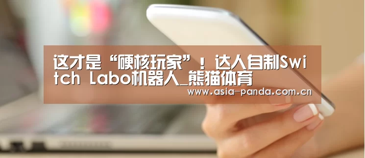 这才是“硬核玩家”!达人自制Switch Labo机器人_熊猫体育(图2) 熊猫体育